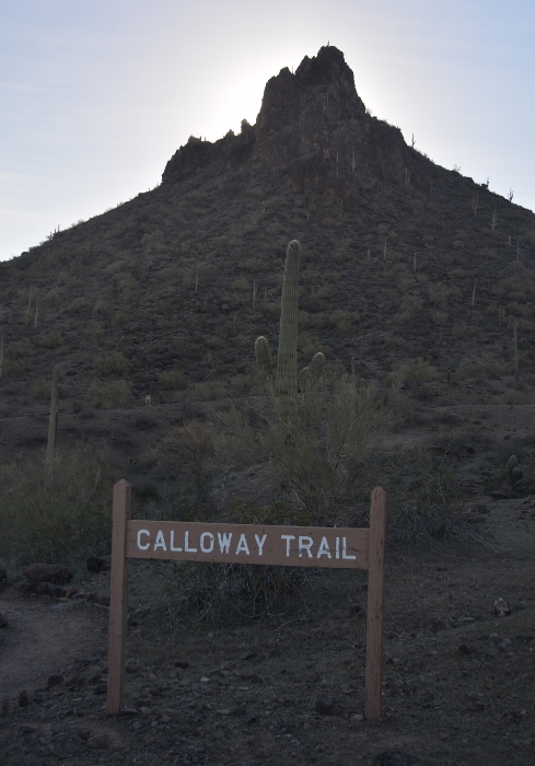 The Calloway Trail